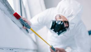 Best Residential Pest Control  in Muttontown, NY